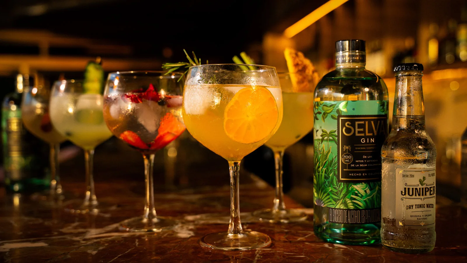 Gin & Tonic Fest: sabores que celebran la vida.